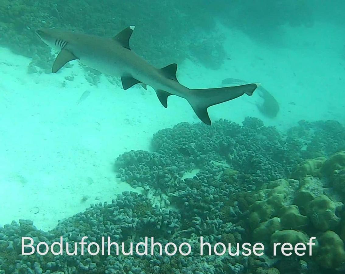 Surfretreat Ξενοδοχείο Bodufolhudhoo Εξωτερικό φωτογραφία