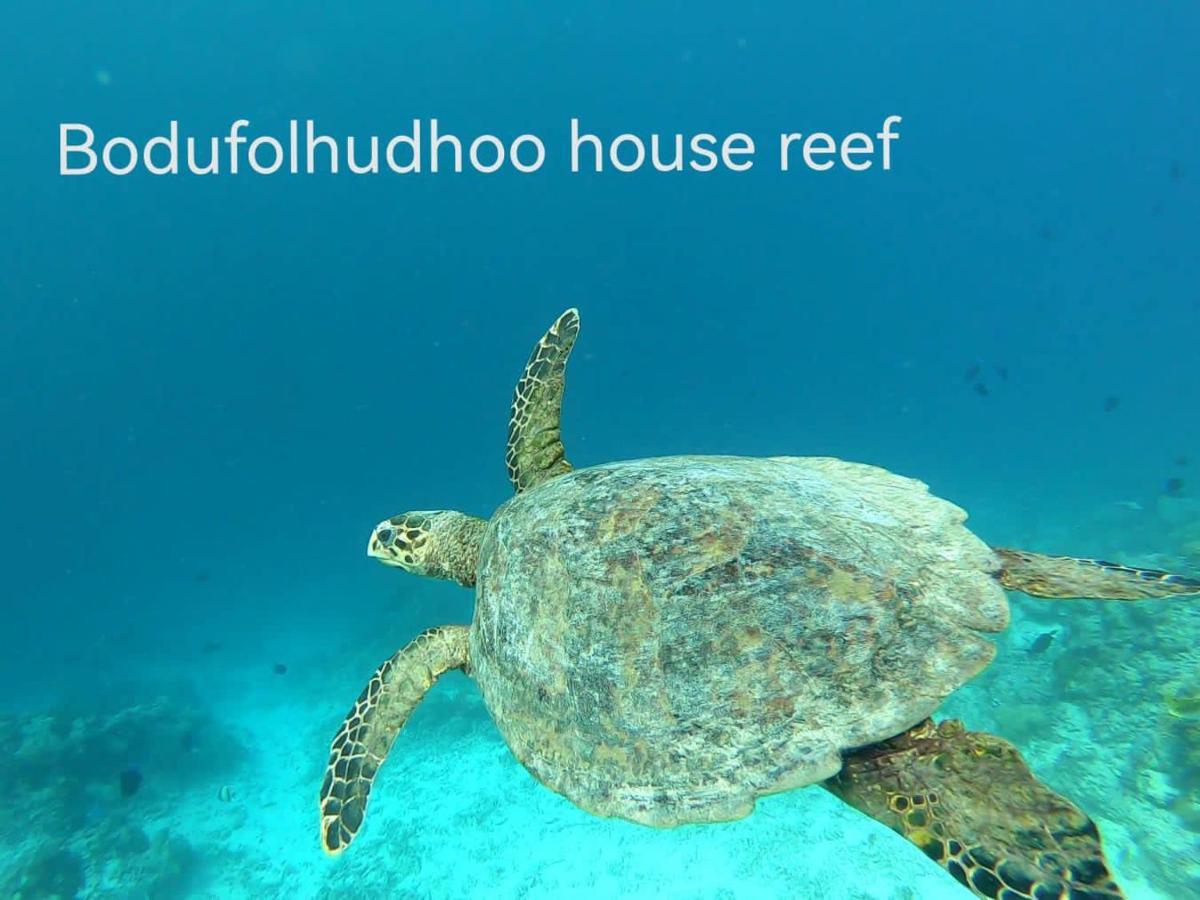 Surfretreat Ξενοδοχείο Bodufolhudhoo Εξωτερικό φωτογραφία