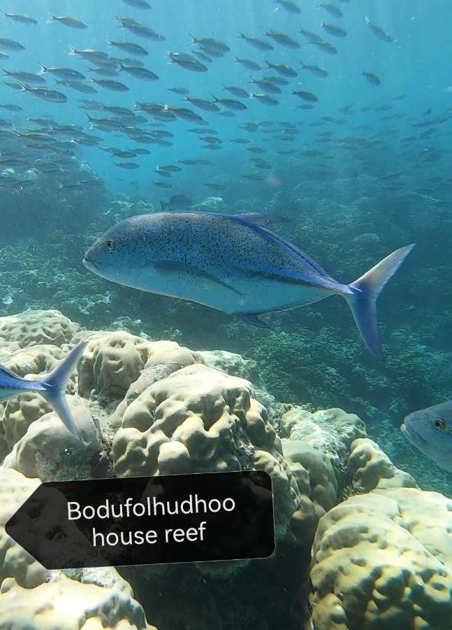Surfretreat Ξενοδοχείο Bodufolhudhoo Εξωτερικό φωτογραφία